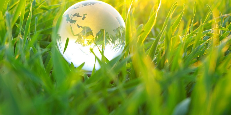 globe in  grass